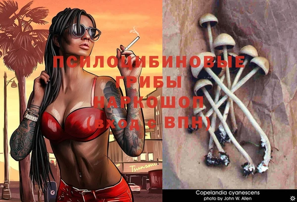 мяу мяу мука Кинешма