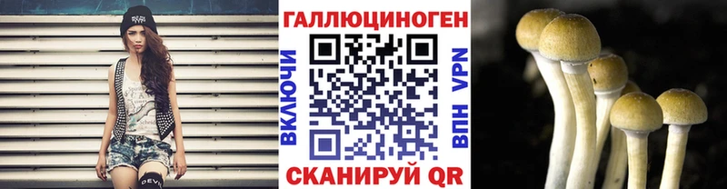 Купить закладки  Котельниково  Галлюциногенные грибы MAGIC MUSHROOMS 
